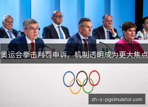奥运会拳击判罚申诉，机制透明成为更大焦点